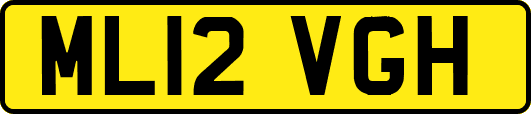 ML12VGH