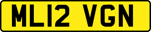 ML12VGN