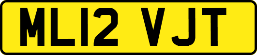 ML12VJT