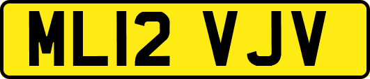 ML12VJV