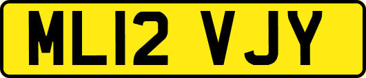 ML12VJY