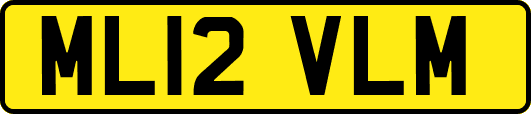 ML12VLM