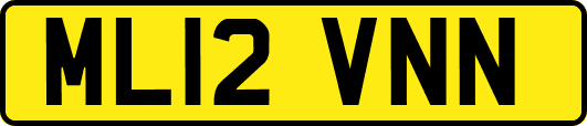 ML12VNN