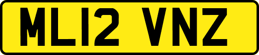 ML12VNZ