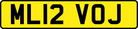 ML12VOJ