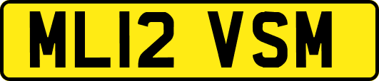 ML12VSM