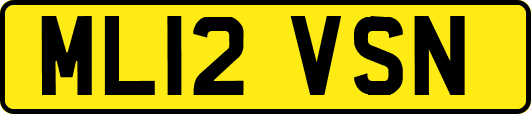 ML12VSN
