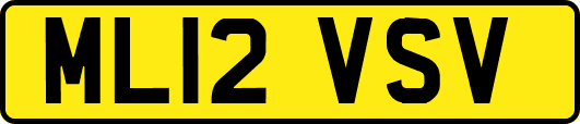 ML12VSV