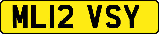 ML12VSY