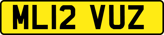 ML12VUZ