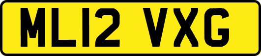 ML12VXG