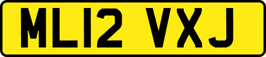ML12VXJ