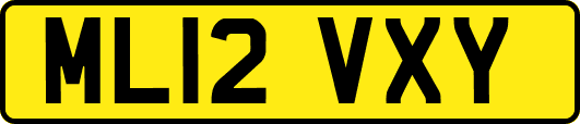 ML12VXY