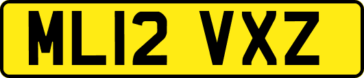 ML12VXZ
