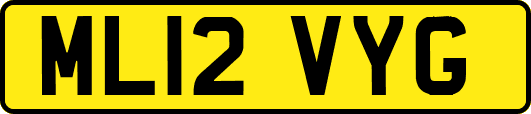 ML12VYG