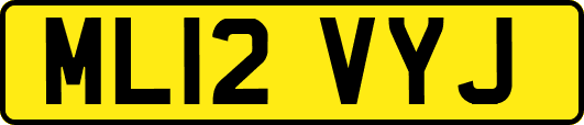 ML12VYJ