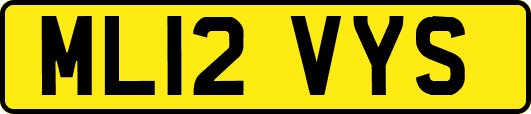 ML12VYS