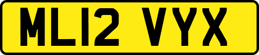 ML12VYX