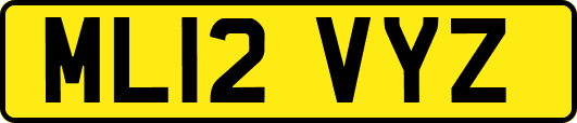 ML12VYZ