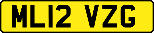 ML12VZG