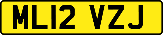 ML12VZJ
