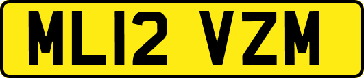 ML12VZM