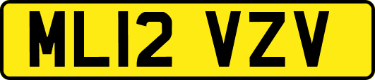 ML12VZV