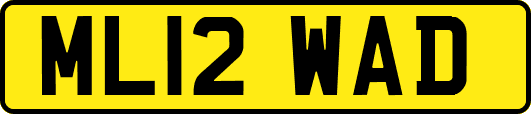ML12WAD