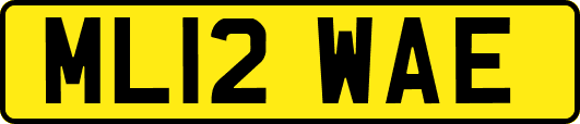 ML12WAE