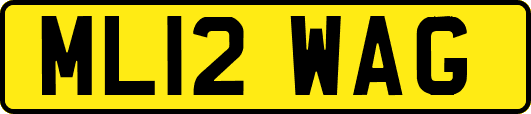 ML12WAG