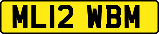 ML12WBM