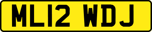 ML12WDJ