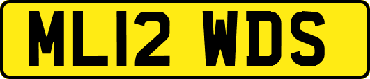 ML12WDS
