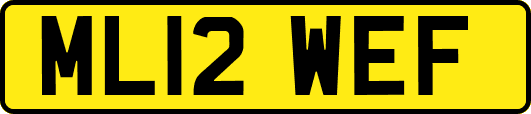 ML12WEF