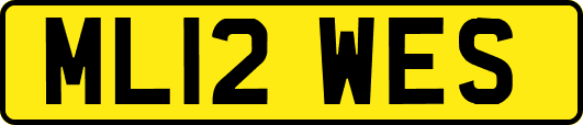 ML12WES