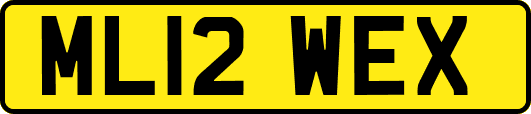 ML12WEX