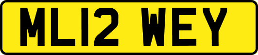 ML12WEY