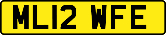 ML12WFE