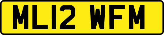 ML12WFM