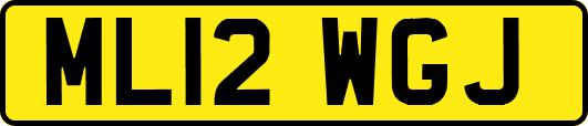 ML12WGJ