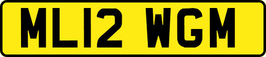 ML12WGM