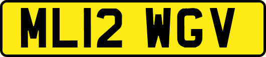 ML12WGV