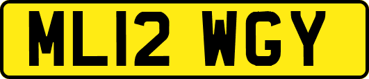 ML12WGY