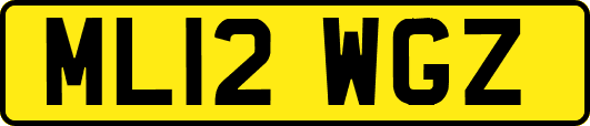 ML12WGZ