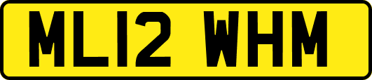 ML12WHM