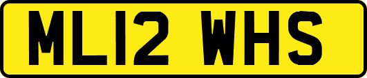 ML12WHS