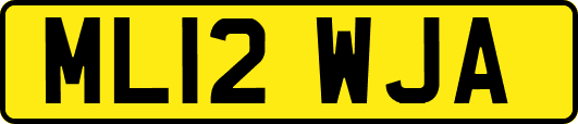 ML12WJA