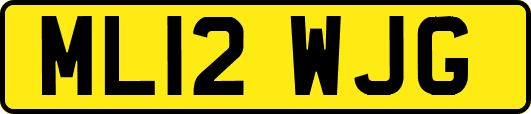 ML12WJG
