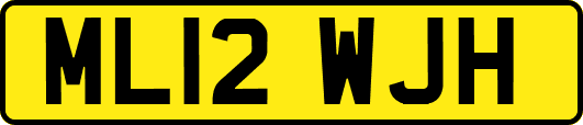 ML12WJH