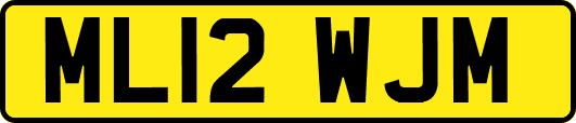 ML12WJM